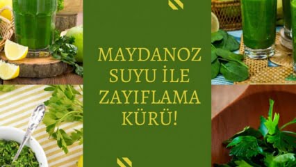 Aç karna maydanoz suyu içmenin faydası var mı? Göbek eriten maydanoz suyu ile zayıflama