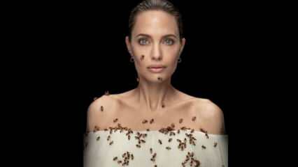 Angelina Jolie, arılar için arılarla objektif karşısında!