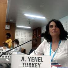 Aynil Yenel, Psikiyatri İstanbul